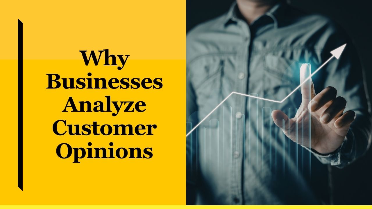 Why Businesses Analyze Customer Opinions
