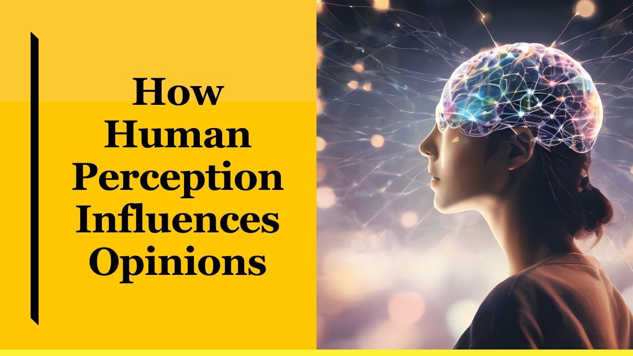 How Human Perception Influences Opinions